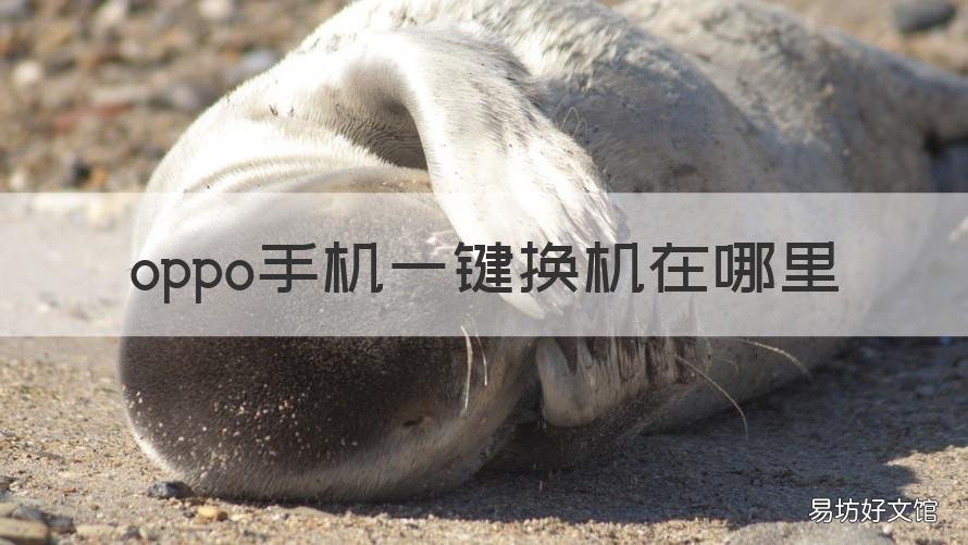 oppo手机一键换机在哪里 oppo手机一键换机在哪里打开