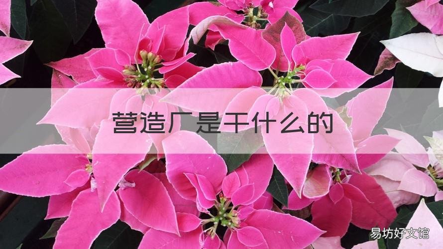 营造厂是干什么的 筑造厂是干什么的