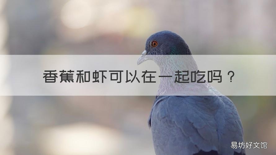 香蕉和虾可以在一起吃吗 香蕉能和虾一起吃吗