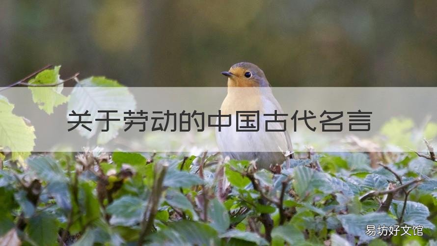 关于劳动的中国古代名言 古人劳动的名言