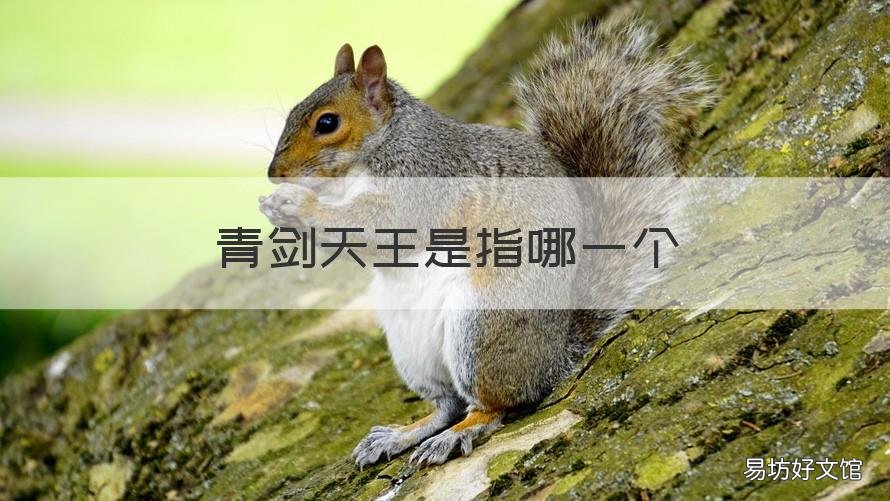 青剑天王是指哪一个 四大天王中使用青锋剑的是谁