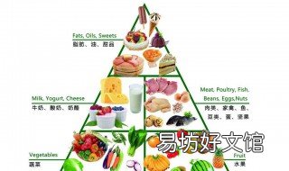 食物的营养价值 食物的营养价值名词解释