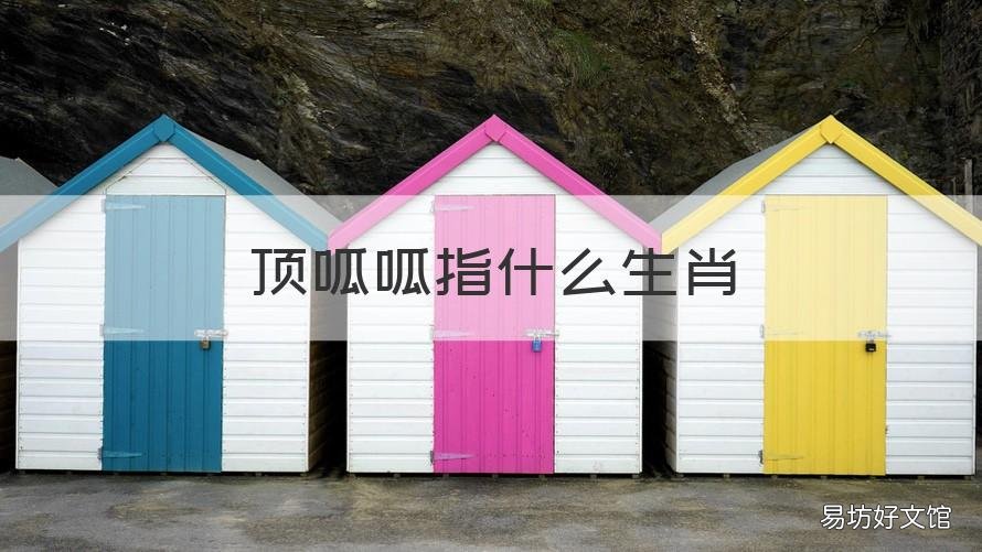 顶呱呱指什么生肖 呱呱叫指什么生肖