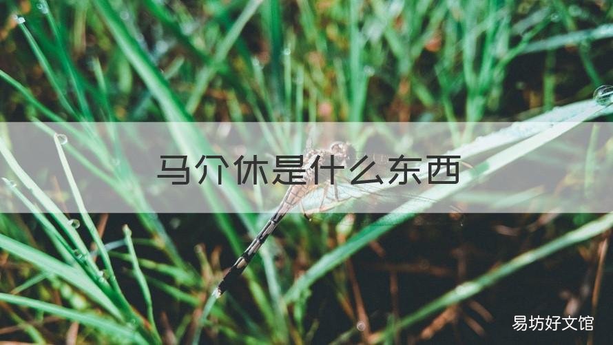 马介休是什么东西 马介休图片