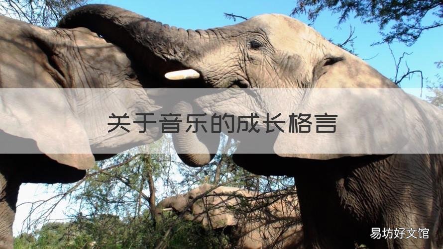 关于音乐的成长格言 音乐人生格言励志