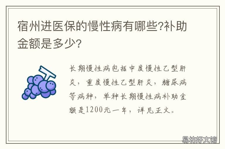 宿州进医保的慢性病有哪些?补助金额是多少? 宿州大病医保办理