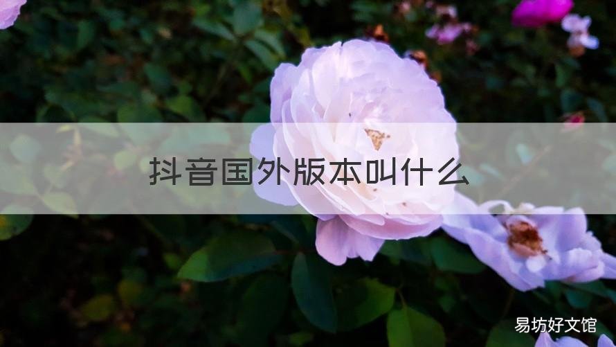 抖音国外版本叫什么 国外抖音有几个版本