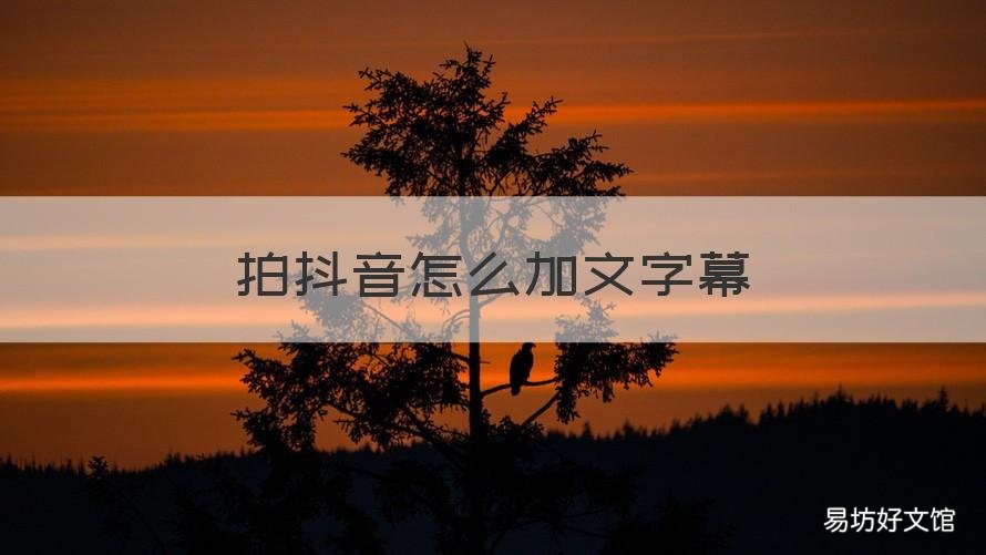 拍抖音怎么加文字幕 拍抖音怎么加文字幕配歌词