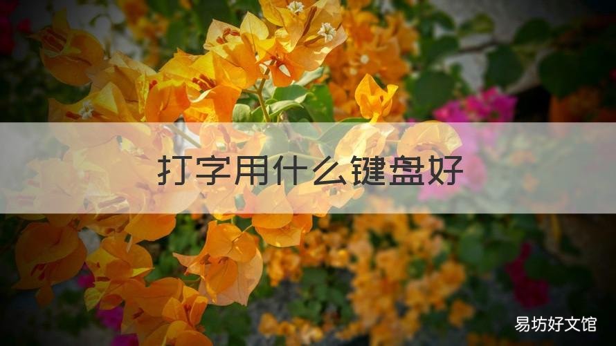 打字用什么键盘好 长时间打字用什么键盘好