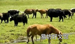 风马牛不相及的意思 风马牛不相及的意思解释