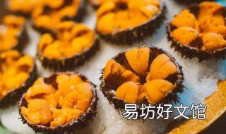 什么时候的海胆最好吃 海胆啥时候吃最好