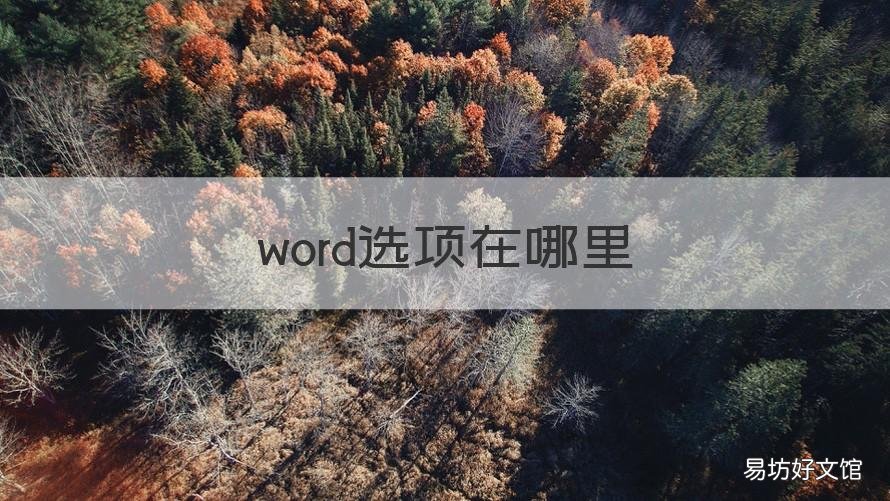word选项在哪里 Word选项在哪里