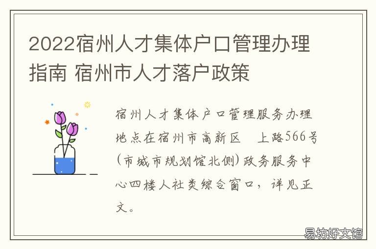 2022宿州人才集体户口管理办理指南 2019年宿州市人才引进