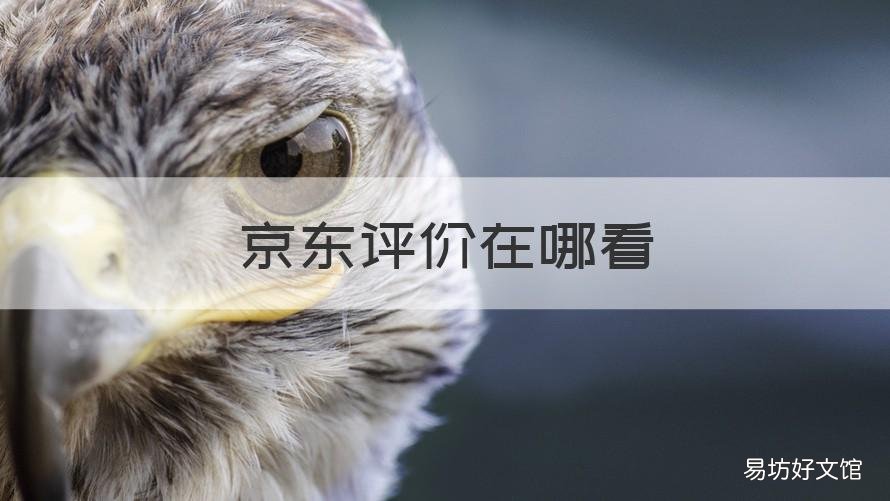 京东评价在哪看 京东评价在哪看自己的评价记录