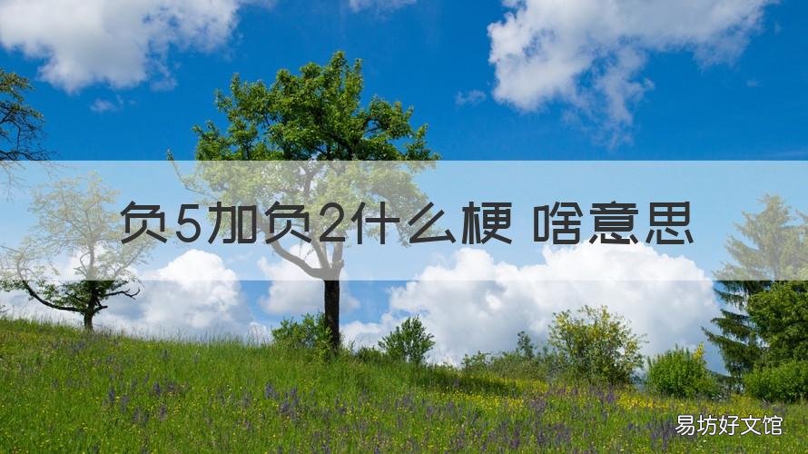 负5加负2什么梗 啥意思