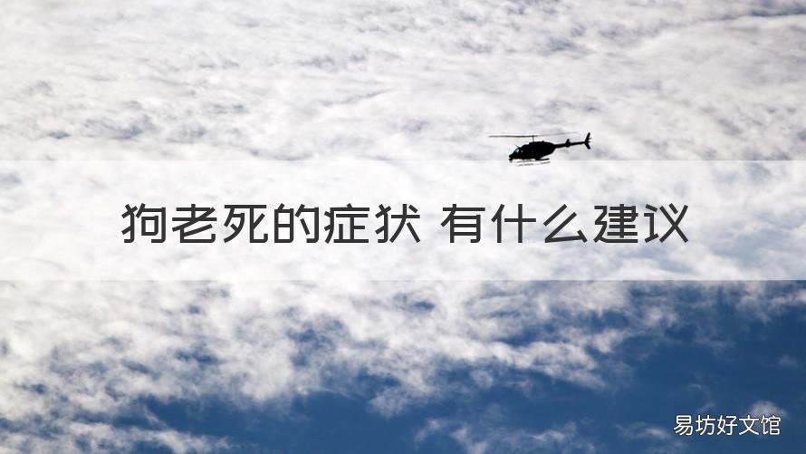 狗老死的症状 有什么建议 狗狗老死前有什么症状