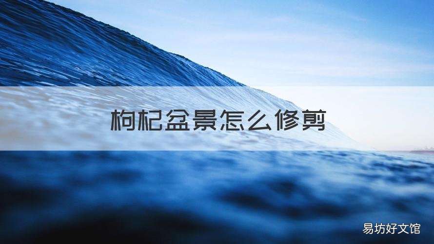 枸杞盆景怎么修剪 枸杞盆景怎么修剪视频