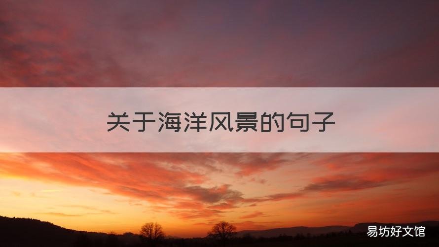 关于海洋风景的句子 描写海洋世界的唯美句子