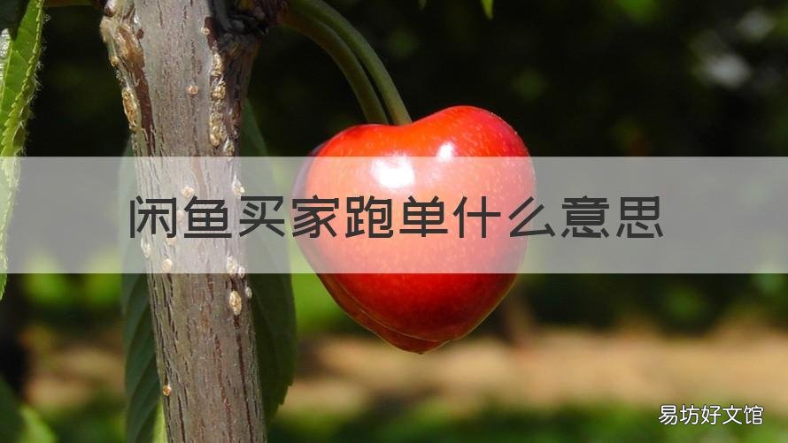 闲鱼买家跑单什么意思 闲鱼跑单怎么说