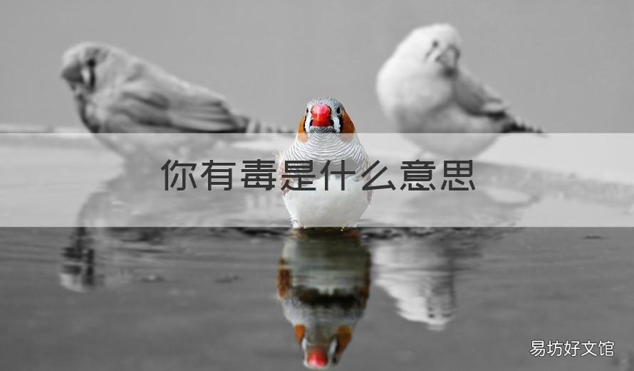 你有毒是什么意思 女生说你有毒是什么意思