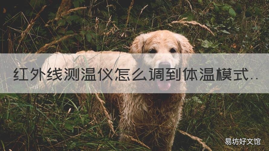 红外线测温仪怎么调到体温模式 红外线测温仪怎么调到体温模块