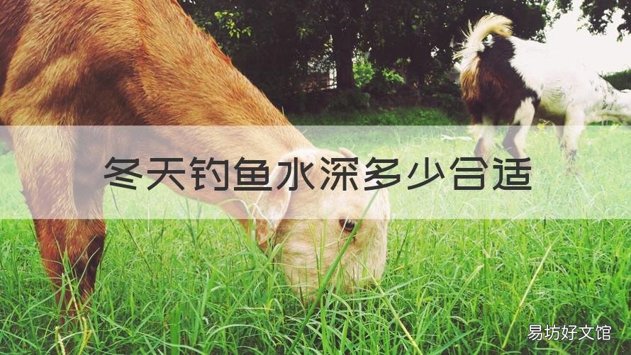 冬天钓鱼水深多少合适 冬天钓鱼多深的水合适