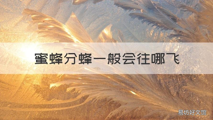 蜜蜂分蜂一般会往哪飞 蜜蜂分蜂在树上多久会飞走