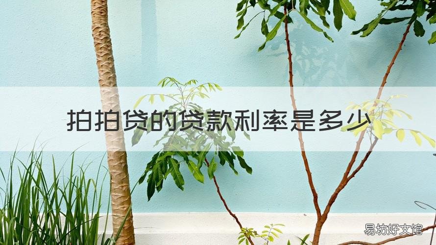拍拍贷的贷款利率是多少 拍拍贷借款利率