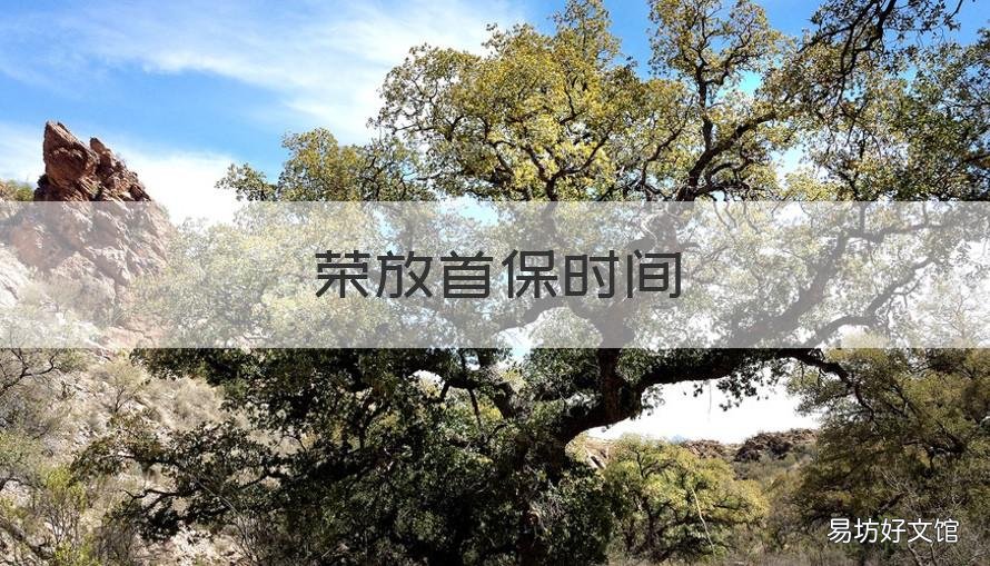 荣放首保时间 2020荣放首保