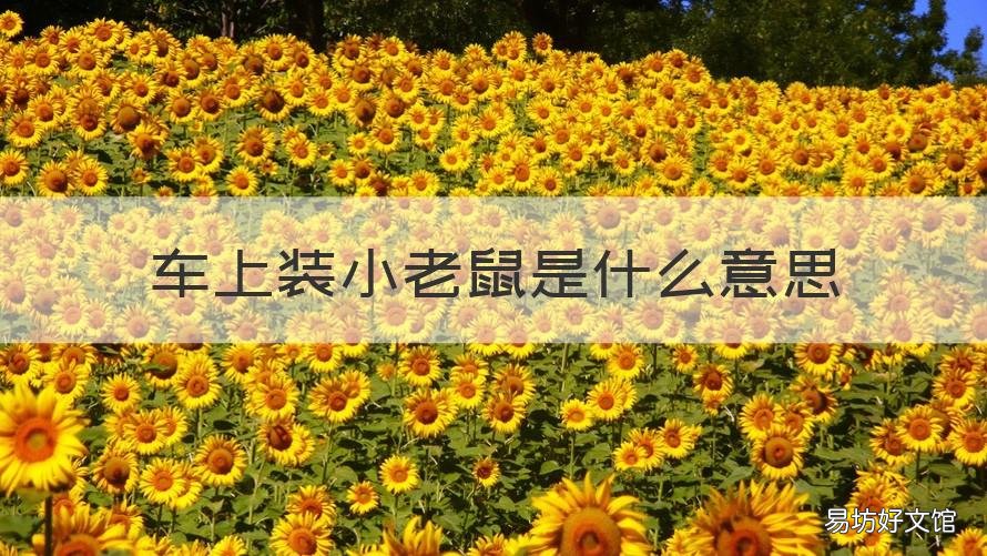 车上装小老鼠是什么意思 小车里面有老鼠怎么弄
