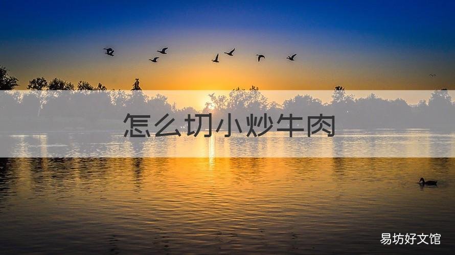 怎么切小炒牛肉 怎么切小炒牛肉块