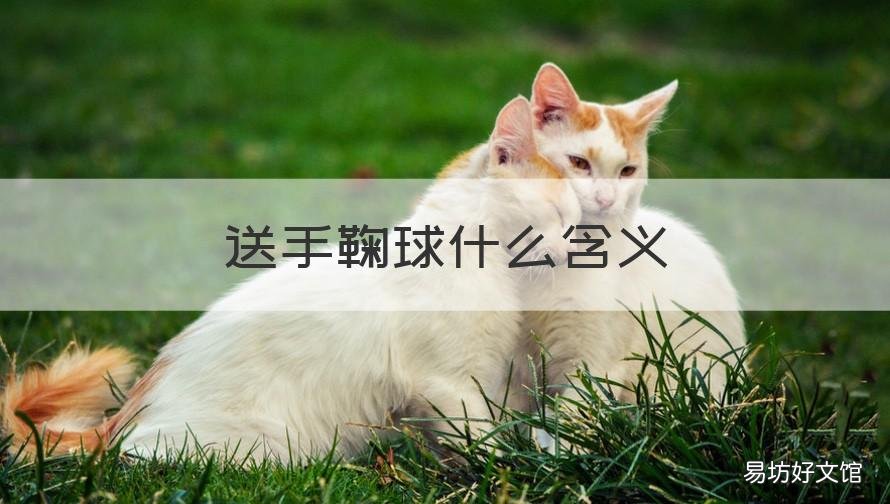 送手鞠球什么含义 手鞠球送人