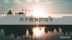 关于脱发的句子 形容自己脱发的句子