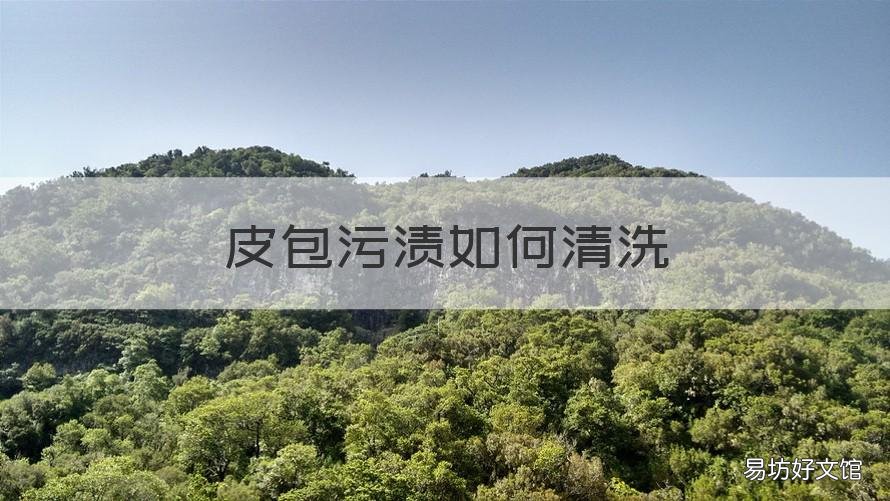 皮包污渍如何清洗 皮包污渍怎么清洗