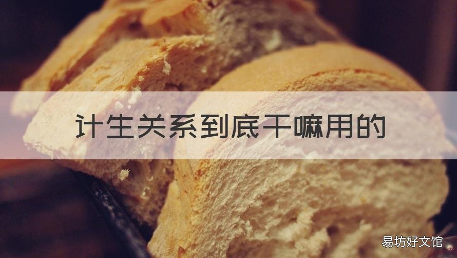 计生关系到底干嘛用的 什么叫计生关系
