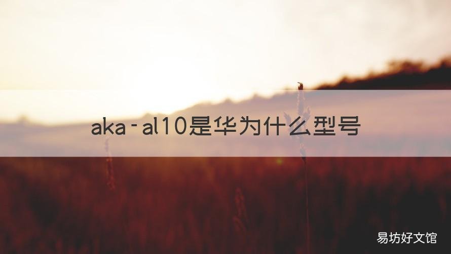 aka-al10是华为什么型号 华为aka -al10