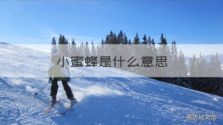小蜜蜂是什么意思 小蜜蜂是什么意思比喻什么人