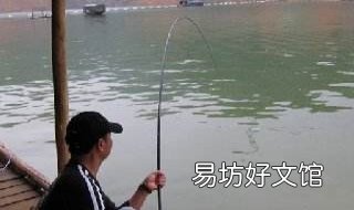 手杆钓鱼技巧 手杆钓鱼技巧视频