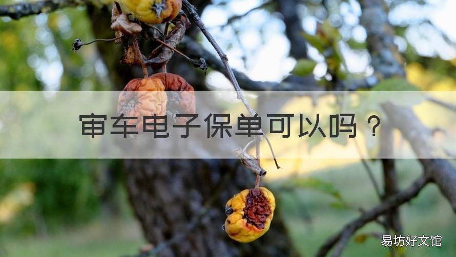 审车电子保单可以吗 审车用电子保单吗