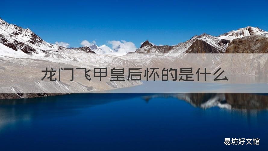 龙门飞甲皇后怀的是什么 龙门飞甲皇后肚子是什么