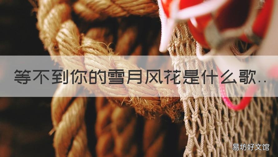 等不到你的雪月风花是什么歌 等不到你的雪月风花是什么歌女版