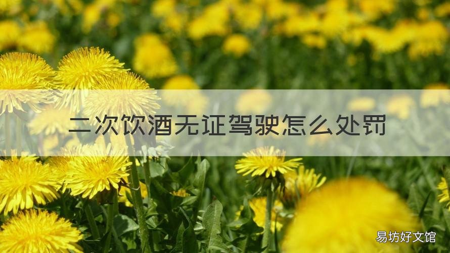 二次饮酒无证驾驶怎么处罚 二次饮酒无证驾驶怎么处罚的