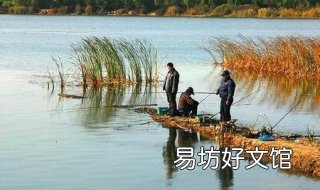 深秋钓鱼技巧 深秋钓鱼技巧视频