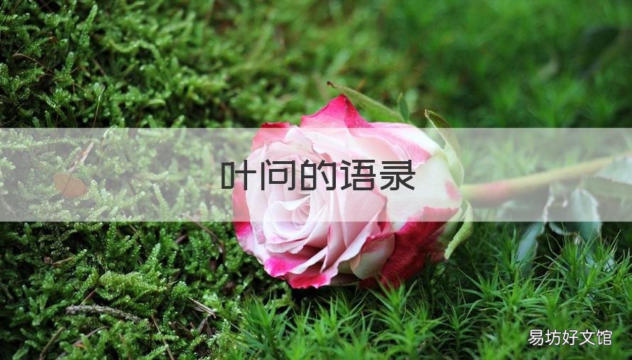 叶问的语录 叶问语录叶问