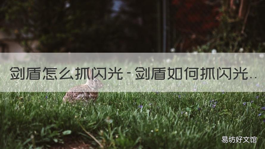 剑盾怎么抓闪光-剑盾如何抓闪光 剑盾 抓闪光