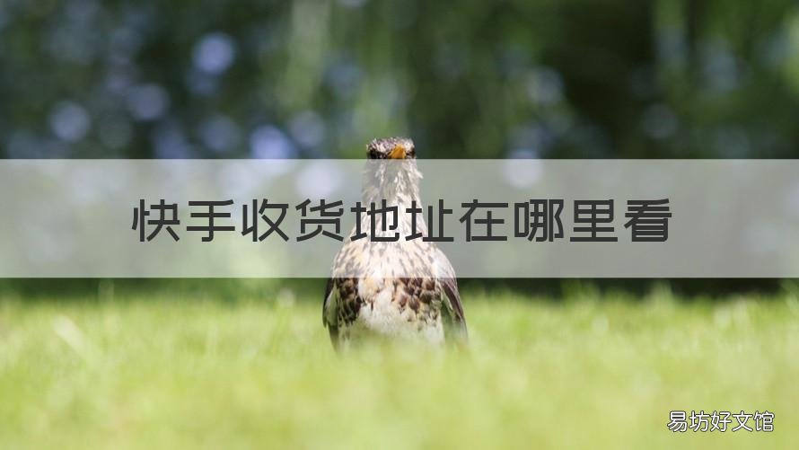 快手收货地址在哪里看 快手收货地址在哪里找到