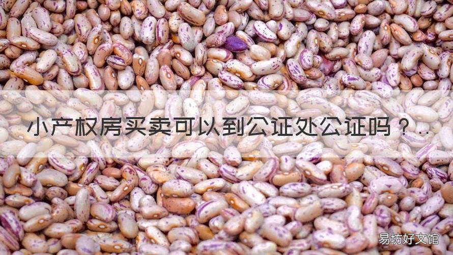 小产权房买卖可以到公证处公证吗 小产权房子买卖可以经过公证处办理吗