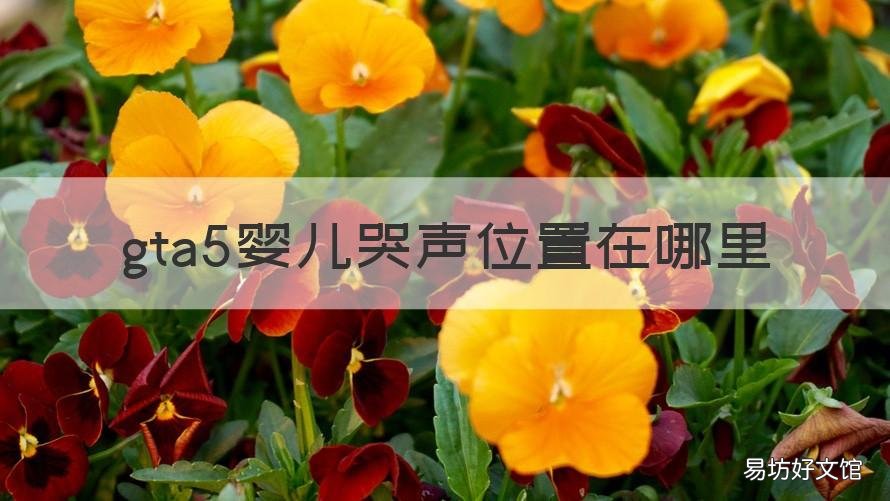 gta5婴儿哭声位置在哪里 gta5婴儿哭声的房子