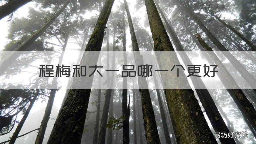 程梅和大一品哪一个更好 大一品与庆华梅哪个好