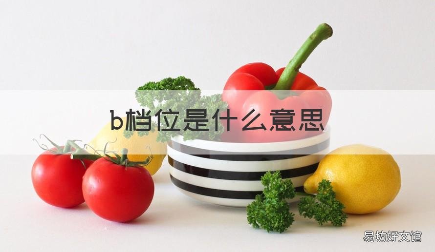 b档位是什么意思 n档位是什么意思